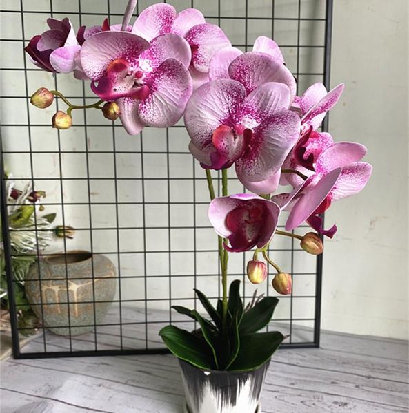 decorative flowers real touch plastic orchid branch artificial fake butterfly for home wedding decoration flores artificiais
decorative flowers real touch plastic orchid branch artificial fake butterfly for home wedding decoration flores artificiais