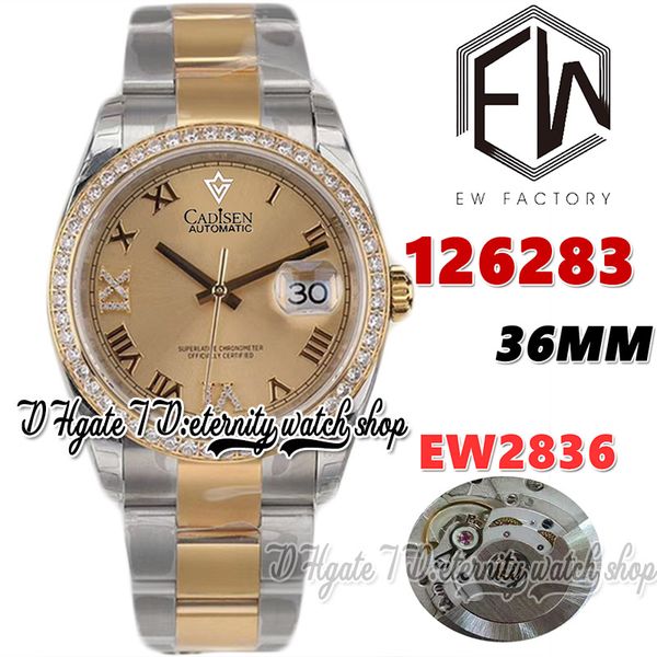 ewf v3 ew126283 a2836 automatic 36mm ladies watch diamonds bezel gold dial roman markers two tone 904l steel bracelet with same serial warra, Slivery;brown
ewf v3 ew126283 a2836 automatic 36mm ladies watch diamonds bezel gold dial roman markers two tone 904l steel bracelet with same serial warra, Slivery;brown