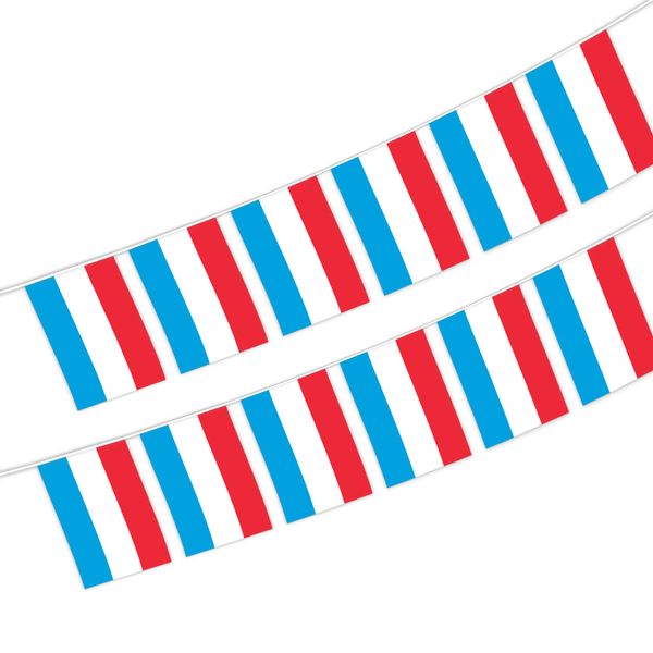 luxembourg string flag 20 flag 14x21cm hanging mini banner for indoor outdoor decoration
luxembourg string flag 20 flag 14x21cm hanging mini banner for indoor outdoor decoration