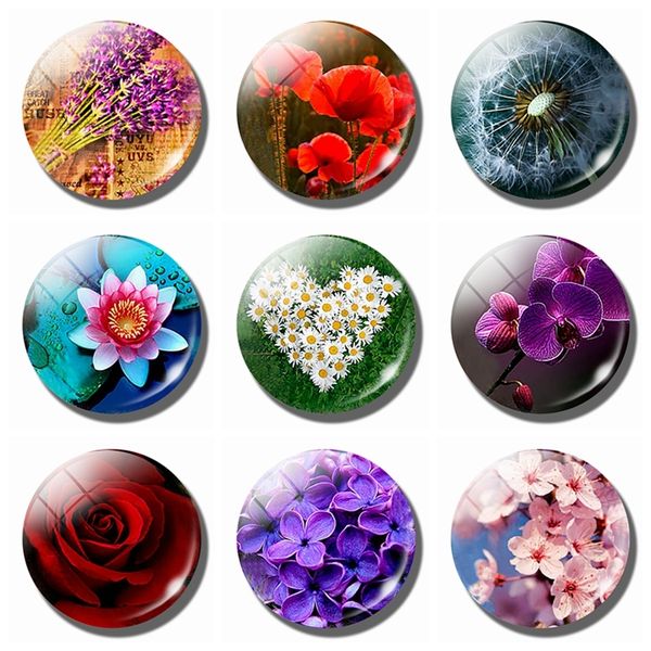 Flower 30MM Glass Fridge Magnet Rose Dandelion Poppy Lotus Cherry Blossoms Orchid Daisy Whiteboard Refrigerator Magnets
Flower 30MM Glass Fridge Magnet Rose Dandelion Poppy Lotus Cherry Blossoms Orchid Daisy Whiteboard Refrigerator Magnets