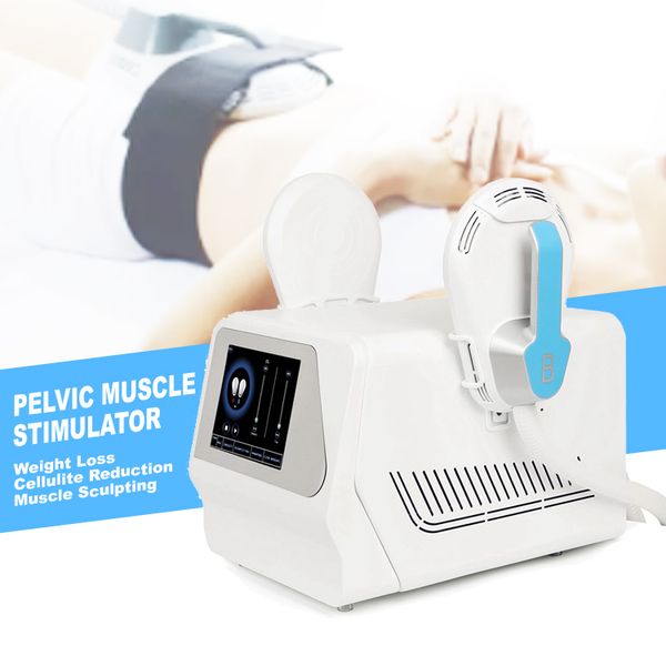 new 2022 ems muscle stimulation body slimming electric muscle stimulator compex abdominal weight loss machine
new 2022 ems muscle stimulation body slimming electric muscle stimulator compex abdominal weight loss machine