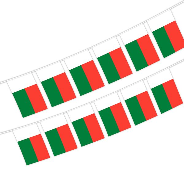 madagascar string flag 20 flag 14x21cm hanging mini banner for indoor outdoor decoration
madagascar string flag 20 flag 14x21cm hanging mini banner for indoor outdoor decoration