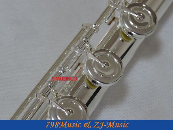 flute-silver plated-open hole-split-e-offset-g-b foot-2 headjoints
flute-silver plated-open hole-split-e-offset-g-b foot-2 headjoints