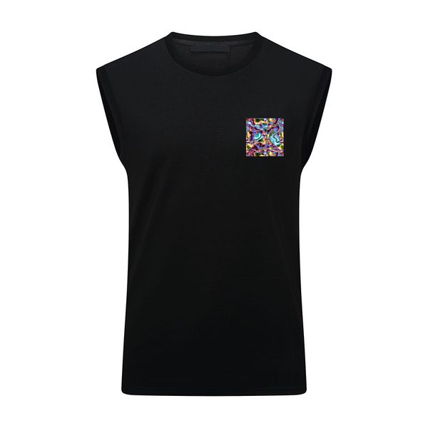 2022 men's t-shirts fashion men sleeveless o-neck vest slim sweatshirts summer solid color t-shirt short sleeve blouse55, White;black
2022 men's t-shirts fashion men sleeveless o-neck vest slim sweatshirts summer solid color t-shirt short sleeve blouse55, White;black