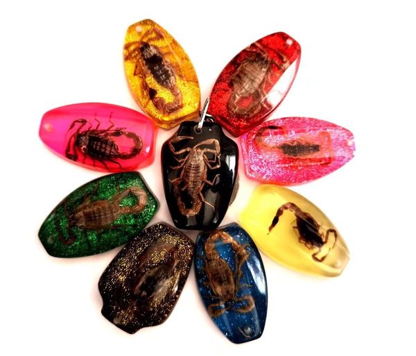 15 pcs keychain real scorpion mixed colorful design jewelry gifts resin key ring charms specimen, Slivery;golden
15 pcs keychain real scorpion mixed colorful design jewelry gifts resin key ring charms specimen, Slivery;golden