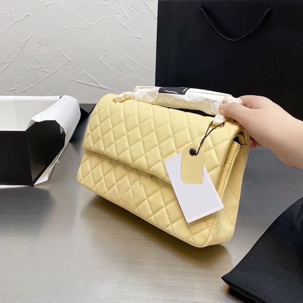 fall winter iridescent pearly pink bags france women classic double flap lambs real genuine leather gold hardware designer luxury bag
fall winter iridescent pearly pink bags france women classic double flap lambs real genuine leather gold hardware designer luxury bag