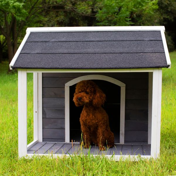 large outdoor wooden dog house waterproof windproof and warm dog kennel with porch deck
large outdoor wooden dog house waterproof windproof and warm dog kennel with porch deck