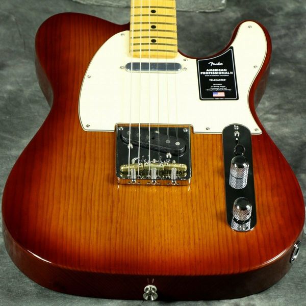 pro ii tl maple fb sienna sunburst s/n us21041110 electric guitar
pro ii tl maple fb sienna sunburst s/n us21041110 electric guitar