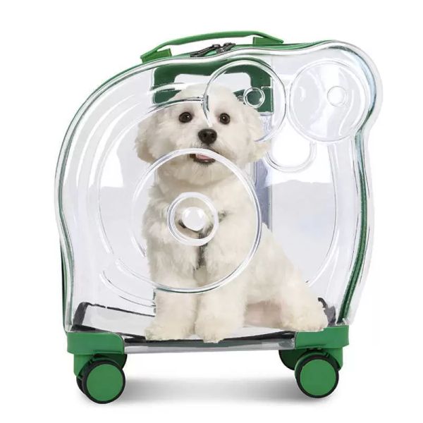 backpack zhuohao trolley out portable aviation transparent cat bag pet backpack bubble case
backpack zhuohao trolley out portable aviation transparent cat bag pet backpack bubble case