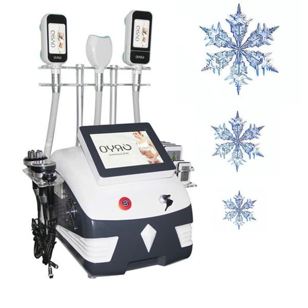 360 cryo fat ing slimming machine cool vacuum 40k cavitation rf laser liposuction fat e weight reduce cellulite removal skin tightening face
360 cryo fat ing slimming machine cool vacuum 40k cavitation rf laser liposuction fat e weight reduce cellulite removal skin tightening face