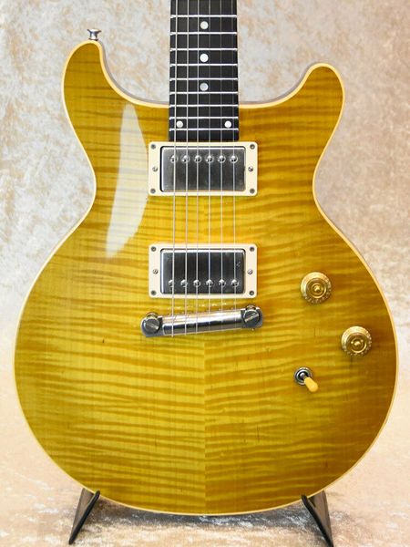 custom shop paul dc pro electric guitar
custom shop paul dc pro electric guitar