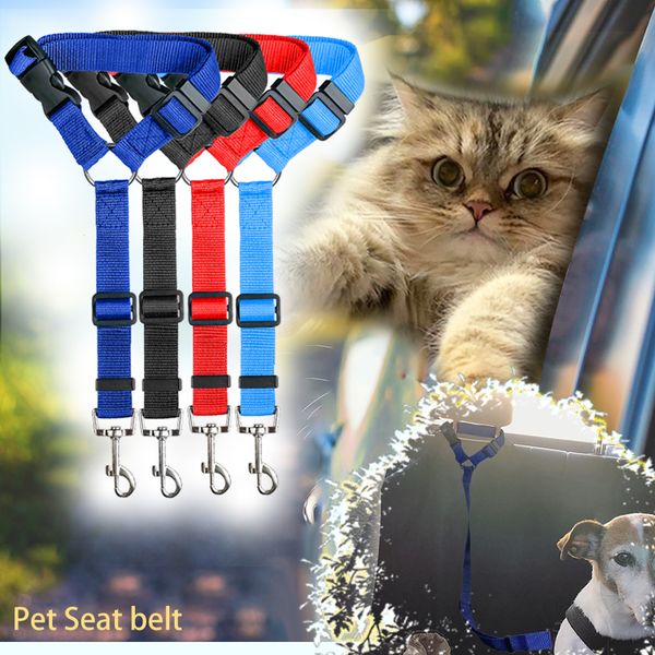 harness dog collar cat lead pet car belt leash dog for safety small belt kitten back seat belt dogs collar cat pet accessories
harness dog collar cat lead pet car belt leash dog for safety small belt kitten back seat belt dogs collar cat pet accessories