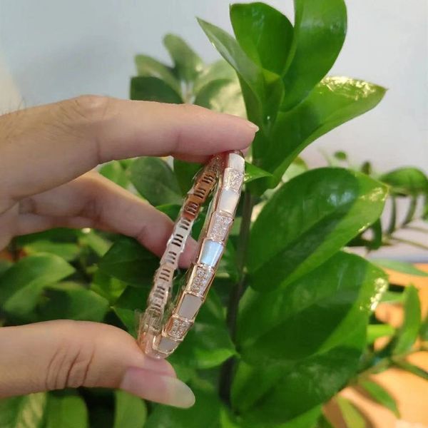 baojia single row non diamond snake bracelet female white fritillaria red agate snake bone index finger lady bracelet jewelry, Golden;silver
baojia single row non diamond snake bracelet female white fritillaria red agate snake bone index finger lady bracelet jewelry, Golden;silver
