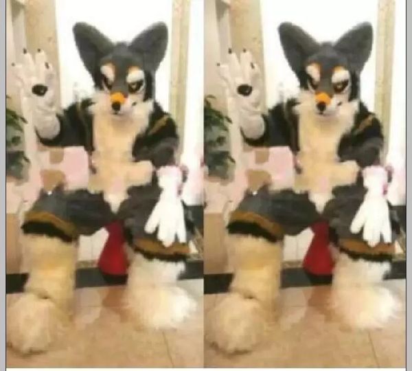 mascot costumes gray long fur furry husky dog fox wolf mascot costume fursuit cartoon christmas present, Red;yellow
mascot costumes gray long fur furry husky dog fox wolf mascot costume fursuit cartoon christmas present, Red;yellow