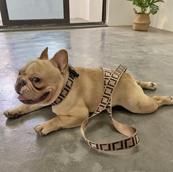 dog harness collars sets fashion letter pet cat small medium large fighting schnauzer bulldog teddy leashes, Silver
dog harness collars sets fashion letter pet cat small medium large fighting schnauzer bulldog teddy leashes, Silver