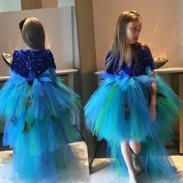 2022 sequined lace flower girl dresses v neck with short sleeves tiered skirts vintage child kid birthday gowns hi-lo first communion wear, White;blue
2022 sequined lace flower girl dresses v neck with short sleeves tiered skirts vintage child kid birthday gowns hi-lo first communion wear, White;blue