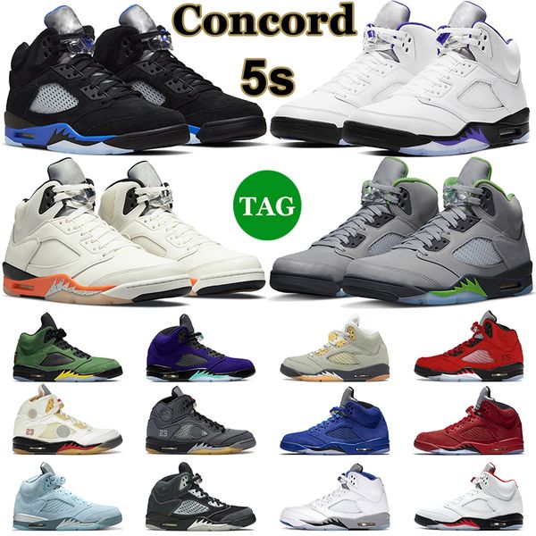 5 5s basketball shoes men concord racer blue green bean moonlight raging bull fire red white cement stealth oregon mens trainers outdoor spo
5 5s basketball shoes men concord racer blue green bean moonlight raging bull fire red white cement stealth oregon mens trainers outdoor spo