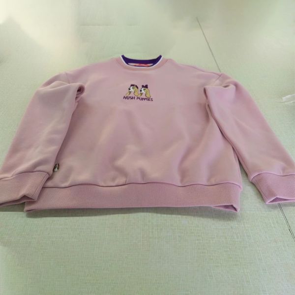 girls' spring and autumn sports pullover sweater 2022 new children's fashionable sweater, Blue
girls' spring and autumn sports pullover sweater 2022 new children's fashionable sweater, Blue