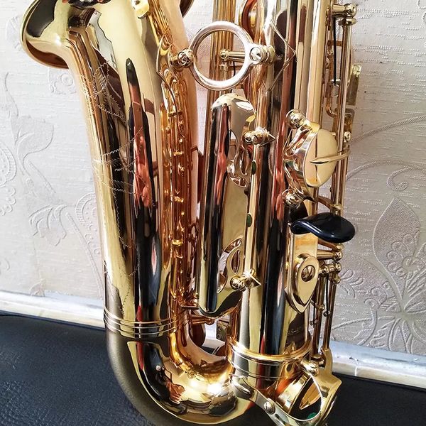 tocando high-end eb 875ex alto saxophone caindo e instrumento de sopro de madeira saxofon profissional com acessórios
tocando high-end eb 875ex alto saxophone caindo e instrumento de sopro de madeira saxofon profissional com acessórios