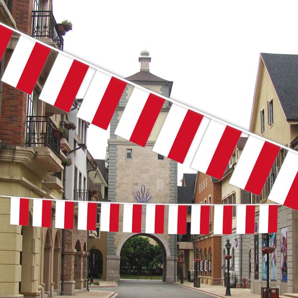 indonesia string flag 20 flag world country national hanging mini banner for party decoration
indonesia string flag 20 flag world country national hanging mini banner for party decoration