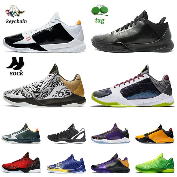 mambas zooms protro 6 mens basketball shoes with socks alternate bruce lee chaos grinch mambacita bruce eybl prelude protros 5 men trainers
mambas zooms protro 6 mens basketball shoes with socks alternate bruce lee chaos grinch mambacita bruce eybl prelude protros 5 men trainers