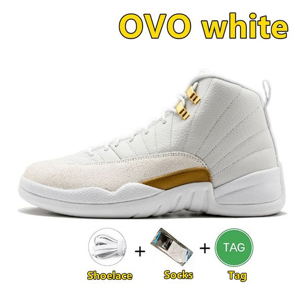 2023 basketball jumpman 12 shoes royalty 12s mens sneakers basketball shoes ovo white black concord low easter indigo utility cny internatio
2023 basketball jumpman 12 shoes royalty 12s mens sneakers basketball shoes ovo white black concord low easter indigo utility cny internatio