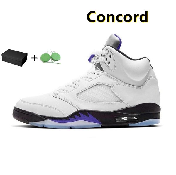 5 5s mens og basketball shoes university racer blue aqua mars for her raging bull oreo easter bluebird concord black metallic men tr
5 5s mens og basketball shoes university racer blue aqua mars for her raging bull oreo easter bluebird concord black metallic men tr
