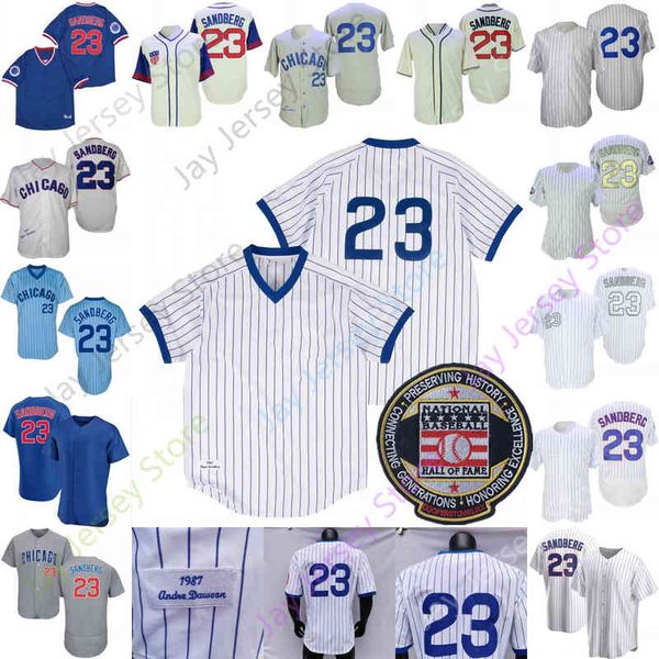ryne sandberg jersey hall of fame patch 1929 1969 1987 1994 2016 ws gold baby blue grey cream fans player pinstripe silver number size s-3xl, Black
ryne sandberg jersey hall of fame patch 1929 1969 1987 1994 2016 ws gold baby blue grey cream fans player pinstripe silver number size s-3xl, Black