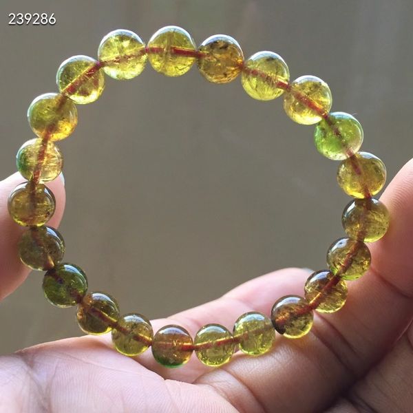 natural yellow tourmaline crystal bracelet 8mm clear round beads women jewelry rare candy tourmaline aaaaaaa, Silver
natural yellow tourmaline crystal bracelet 8mm clear round beads women jewelry rare candy tourmaline aaaaaaa, Silver
