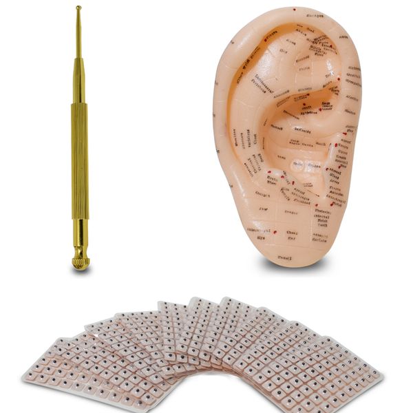 english ear press seed auricular vaccaria seed with ear probe 600pcs paste 17cm silica gel ear model perfections
english ear press seed auricular vaccaria seed with ear probe 600pcs paste 17cm silica gel ear model perfections