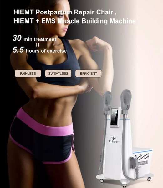 professional body slimming hiemt pelvic floor muscle stimulator repaired ems sculpt em-chair vaginal tightening pelvics muscle trainer machi
professional body slimming hiemt pelvic floor muscle stimulator repaired ems sculpt em-chair vaginal tightening pelvics muscle trainer machi