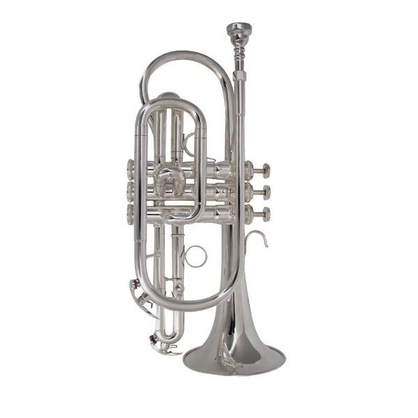 cornet bb flat cornet trumpet instrument silver plated trompeta with mouthpiece and carry case musical professional
cornet bb flat cornet trumpet instrument silver plated trompeta with mouthpiece and carry case musical professional