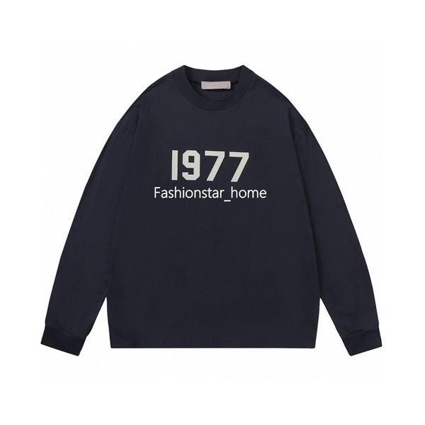 22fw new 1977 series classic high street long sleeve sweatshirt early spring autumn man women couples crewneck pullover fashion casual trend, Black
22fw new 1977 series classic high street long sleeve sweatshirt early spring autumn man women couples crewneck pullover fashion casual trend, Black