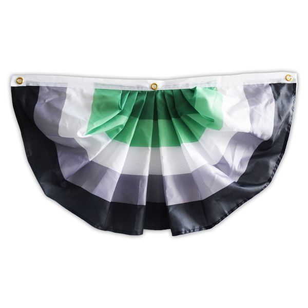 aromantic pride pleated fan flag bunting 1.5x3 ft premium polyester fan banner with brass grommets for indoor outdoor decoration 
aromantic pride pleated fan flag bunting 1.5x3 ft premium polyester fan banner with brass grommets for indoor outdoor decoration