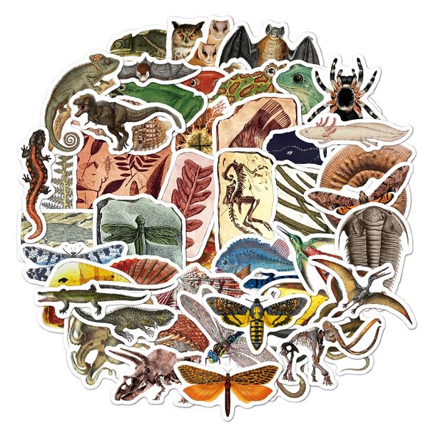 50 pcs waterproof water bottle stickers creature fossils for skateboard car laphelmet kids decor pad bicycle bike motorcycle ps4 notebook gu
50 pcs waterproof water bottle stickers creature fossils for skateboard car laphelmet kids decor pad bicycle bike motorcycle ps4 notebook gu