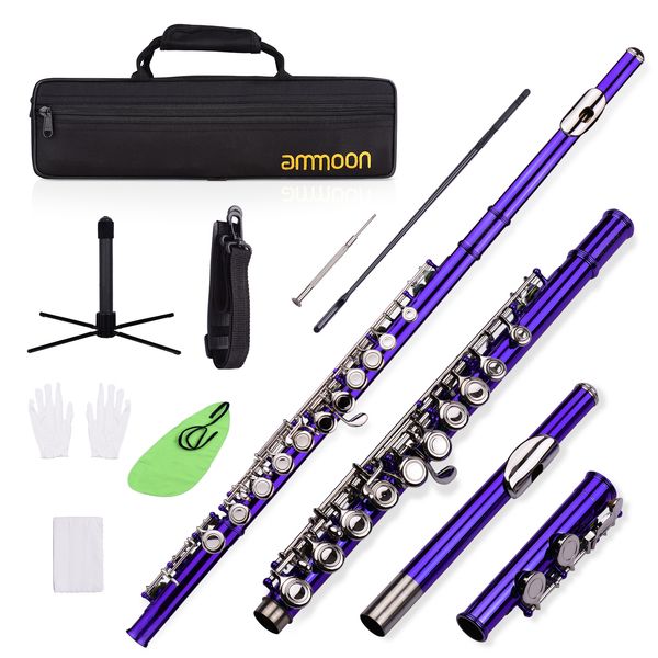 closed hole c flute 16 keys cupronickel nickel-plated wind instrument with carry case flute stand gloves cleaning cloth
closed hole c flute 16 keys cupronickel nickel-plated wind instrument with carry case flute stand gloves cleaning cloth