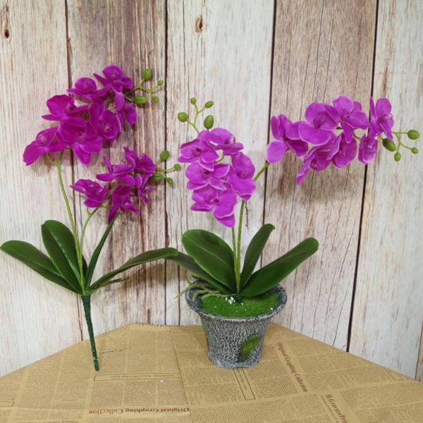 decorative flowers 2 the fork artificial phalaenopsis flower real touch latex butterfly orchid flores with leaves wedding home off
decorative flowers 2 the fork artificial phalaenopsis flower real touch latex butterfly orchid flores with leaves wedding home off