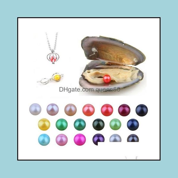 layered necklace pearl loose beads jewelry wholesale diy akoya oyster 6-8mm round in oysters shell with colouf pearls by vacuum packed drop, White
layered necklace pearl loose beads jewelry wholesale diy akoya oyster 6-8mm round in oysters shell with colouf pearls by vacuum packed drop, White