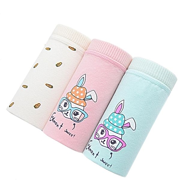 3pcs/lot leak proof menstrual period panties women leakproof cotton physiological underwear ladies cartoon print briefs girl 220426, Black;pink
3pcs/lot leak proof menstrual period panties women leakproof cotton physiological underwear ladies cartoon print briefs girl 220426, Black;pink