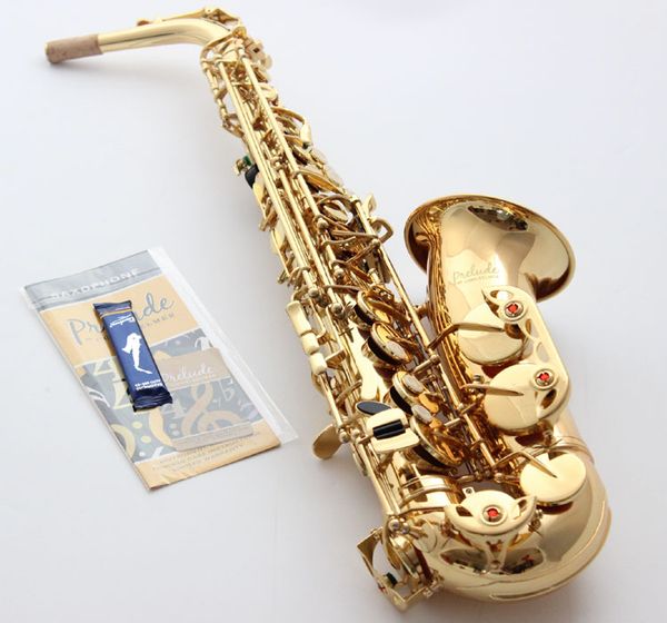 brand mfc alto saxophone conn gold lacquer e-flat alto sax conn with case mouthpiece reeds neck case
brand mfc alto saxophone conn gold lacquer e-flat alto sax conn with case mouthpiece reeds neck case