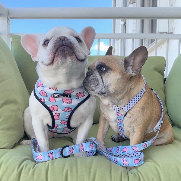 dog vest harness no pull pig printed dog harnesses and leashes set breathable mesh padded puppy collars for small medium dogs outdoor walkin
dog vest harness no pull pig printed dog harnesses and leashes set breathable mesh padded puppy collars for small medium dogs outdoor walkin