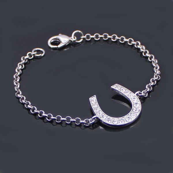lead and nickel link chain bracelet horse shoe bracelets equestrian horseshoe jewelry decorated with bling white czech crystal rhinestones, Black
lead and nickel link chain bracelet horse shoe bracelets equestrian horseshoe jewelry decorated with bling white czech crystal rhinestones, Black