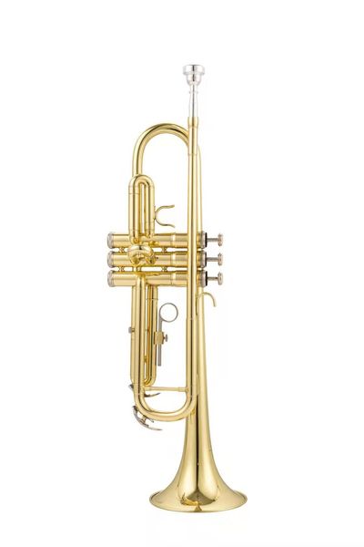 professional trumpet brass gold trumpet digital mechanical welding pipe music adopts brass
professional trumpet brass gold trumpet digital mechanical welding pipe music adopts brass