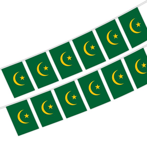 mauritania string flag 20 flag 14x21cm mauritanian hanging banner for indoor outdoor decor
mauritania string flag 20 flag 14x21cm mauritanian hanging banner for indoor outdoor decor