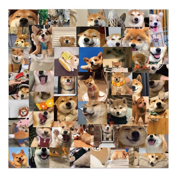 55pcs kawaii cute lovely shiba inu akita dog stickers diy diary scrapbook for luggage mobile phone sticker 
55pcs kawaii cute lovely shiba inu akita dog stickers diy diary scrapbook for luggage mobile phone sticker
