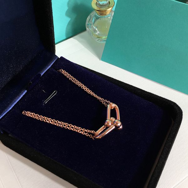 stainless steel t hardwear bamboo joint pendant necklace fashion double link clavicle chain glossy thick couple rose gold silver for women
stainless steel t hardwear bamboo joint pendant necklace fashion double link clavicle chain glossy thick couple rose gold silver for women