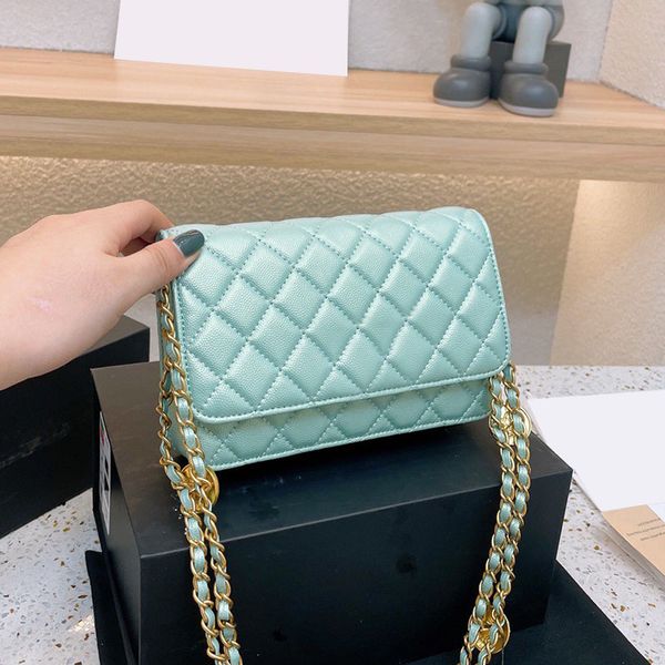 2022ss f/w womens classic mini flap iridescent pearly colors bags pink green gold metal hardware matelasse chain multi pochette card holder
2022ss f/w womens classic mini flap iridescent pearly colors bags pink green gold metal hardware matelasse chain multi pochette card holder