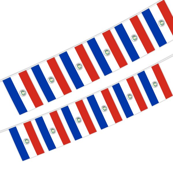 paraguay string flag 20 flag 14x21cm paraguayan hanging mini banner for indoor outdoor decor
paraguay string flag 20 flag 14x21cm paraguayan hanging mini banner for indoor outdoor decor