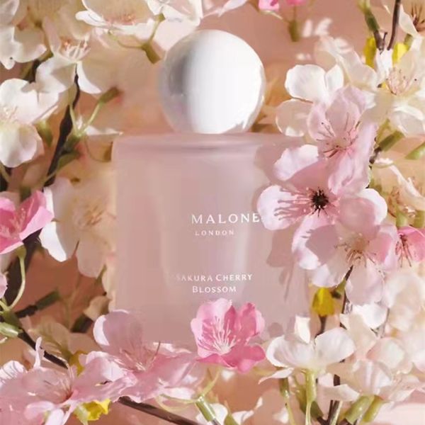 classic style perfume for woman spray men sakura cherry blossom 100ml pink with long lasting charm fragrance lady limited fast delivery wit
classic style perfume for woman spray men sakura cherry blossom 100ml pink with long lasting charm fragrance lady limited fast delivery wit