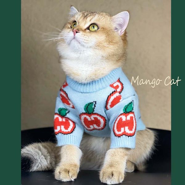 fashion letter dogs cats sweater designer pet knitted outerwears shirts autumn winter dog cat sweaters
fashion letter dogs cats sweater designer pet knitted outerwears shirts autumn winter dog cat sweaters